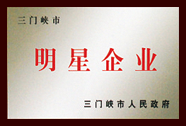 明星企業